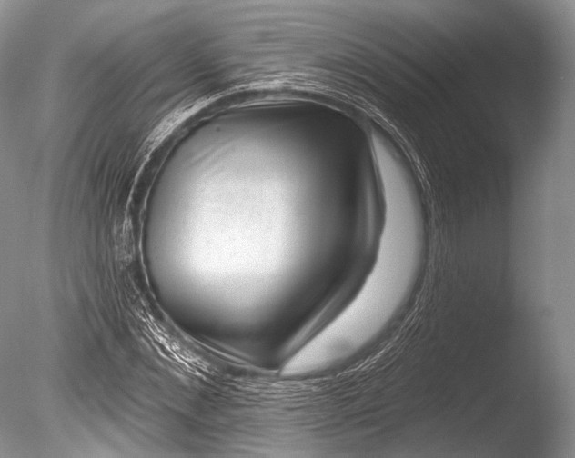 X0000085800876200703301455