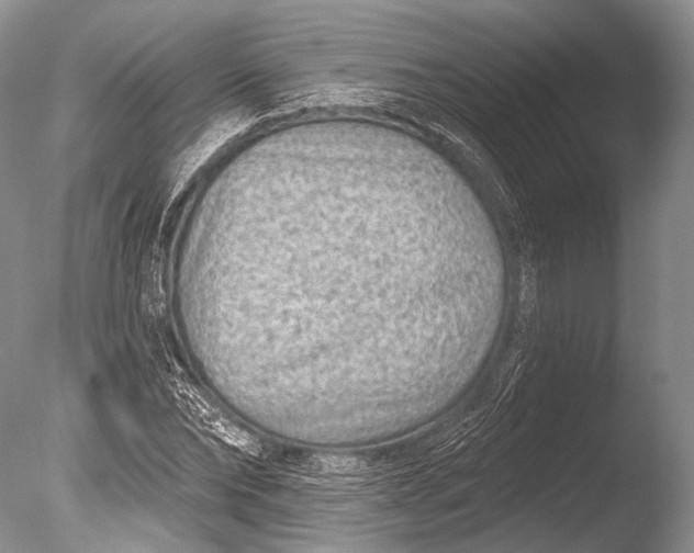 X0000085800878200703301455