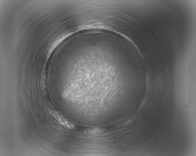 X0000085800879200703301455