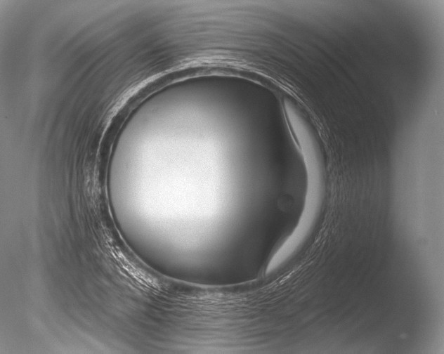 X0000085800880200703301455