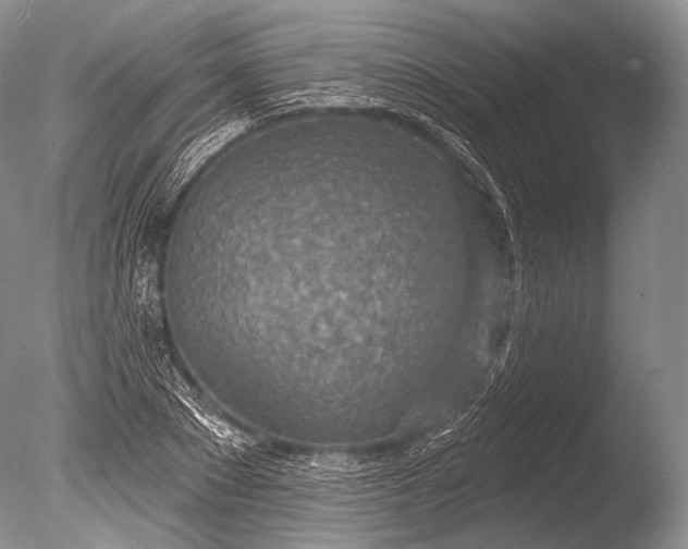 X0000085800881200703301455