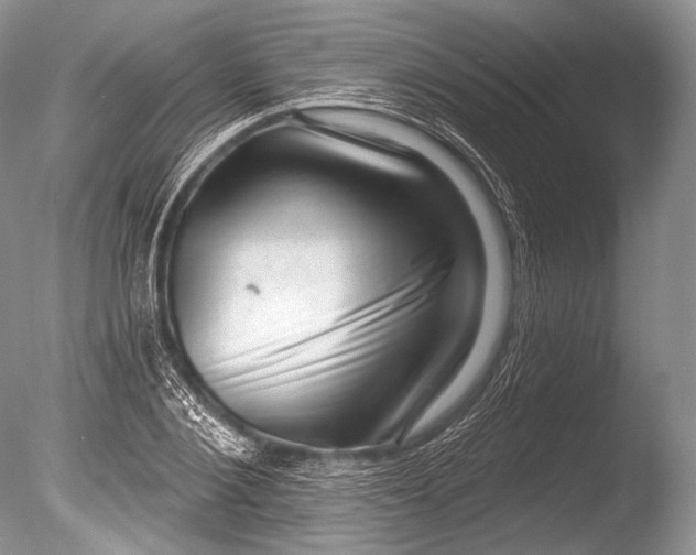 X0000085800884200703301455