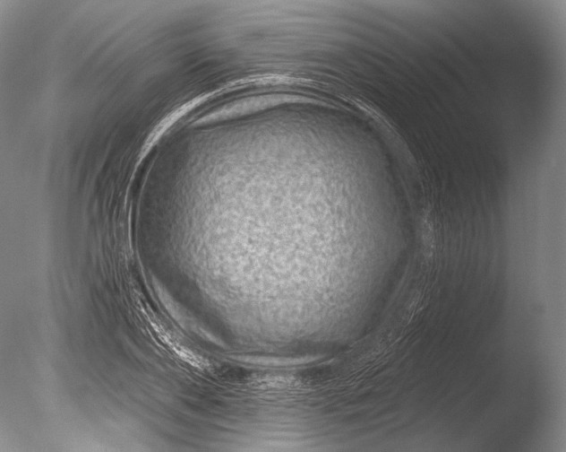 X0000085800886200703301455