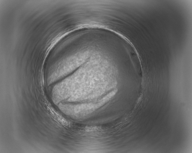 X0000085800887200703301455