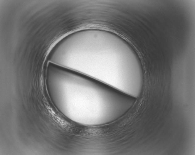 X0000085800888200703301455