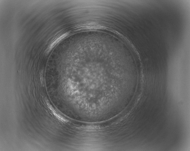 X0000085800889200703301455