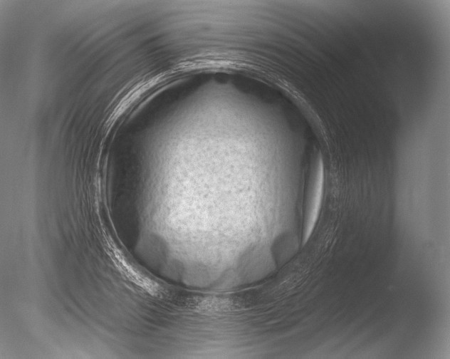 X0000085800890200703301455