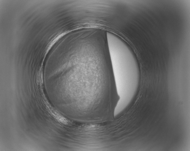 X0000085800891200703301455