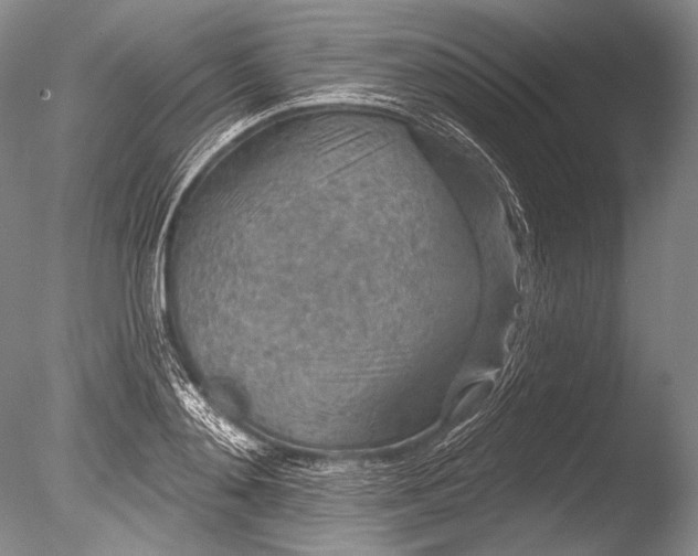 X0000085800892200703301455