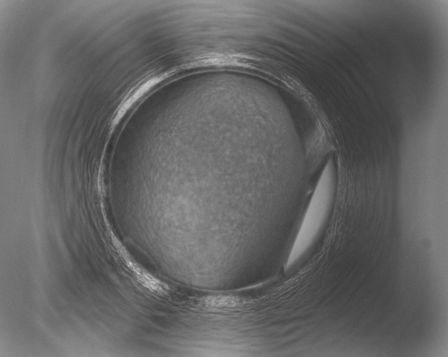 X0000085800893200703301455