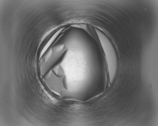 X0000085800894200703301455