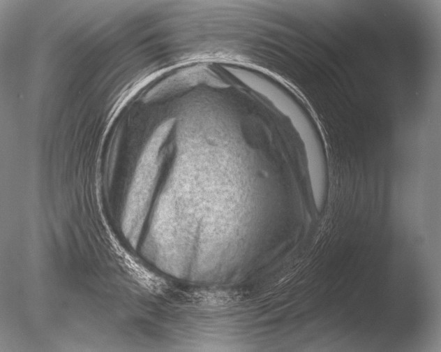 X0000085800895200703301455