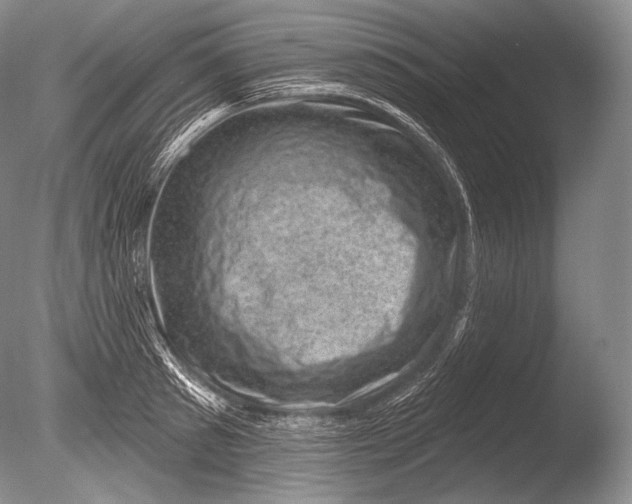 X0000085800897200703301455