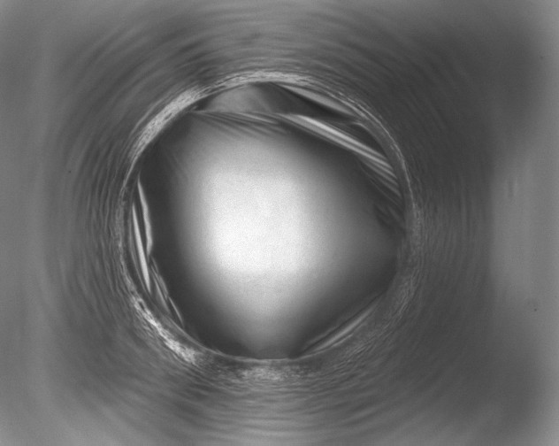 X0000085800898200703301455