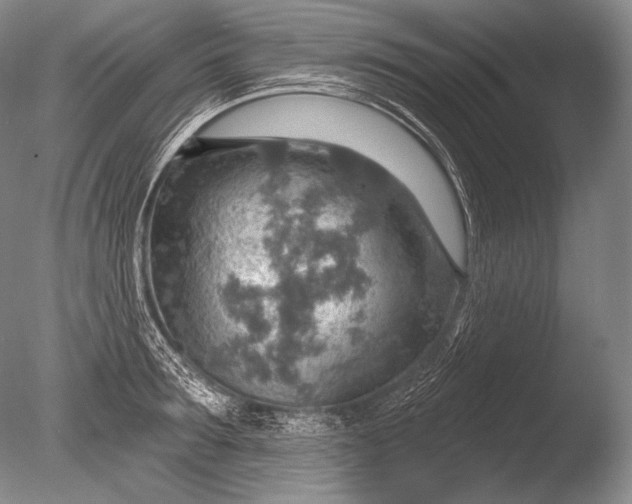 X0000085800899200703301455