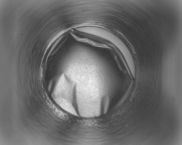 X0000085800900200703301455