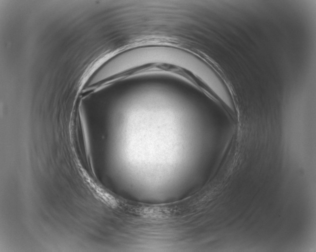 X0000085800901200703301455