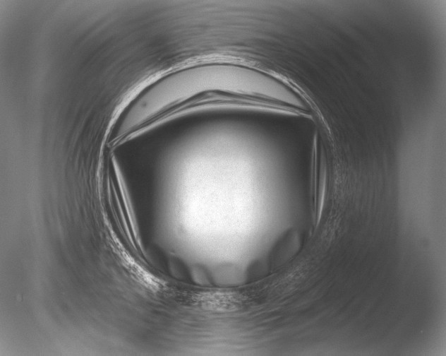 X0000085800902200703301455