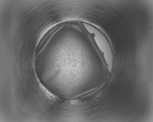 X0000085800903200703301455