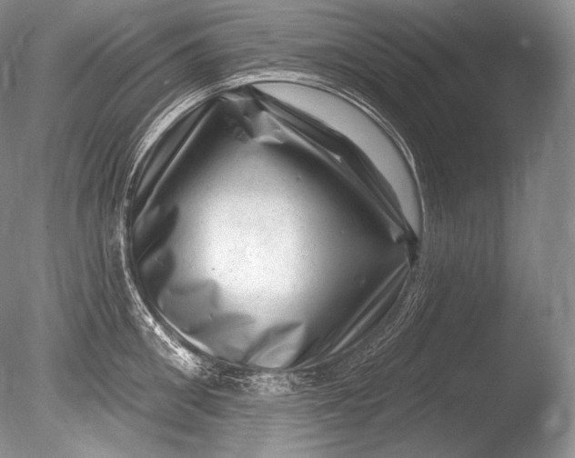 X0000085800906200703301455