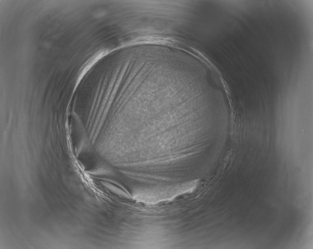 X0000085800907200703301455