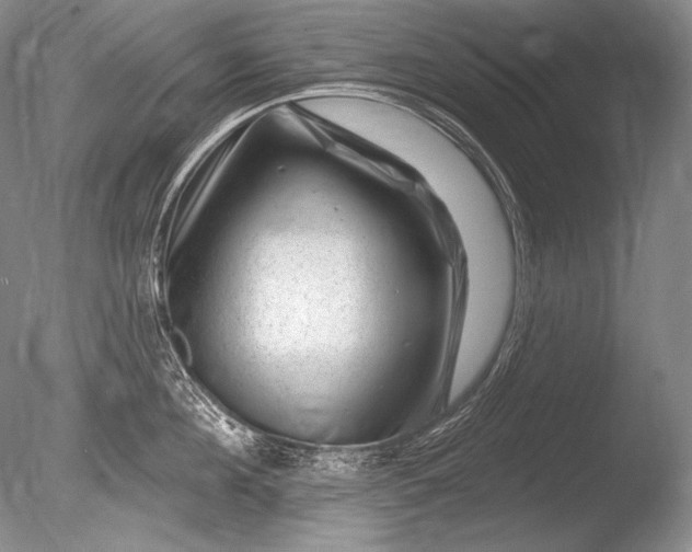 X0000085800908200703301455