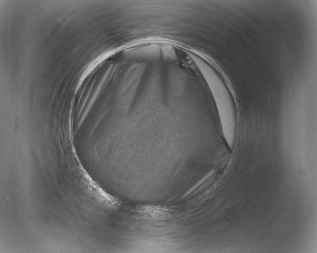 X0000085800910200703301455