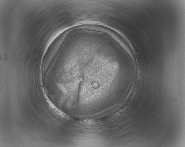 X0000085800911200703301455