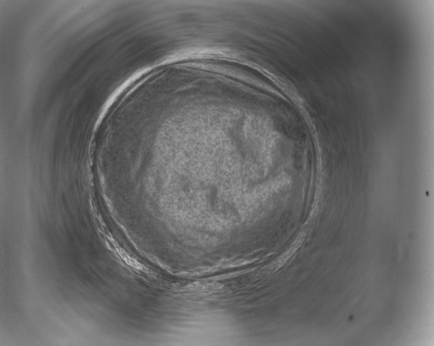 X0000085800912200703301455