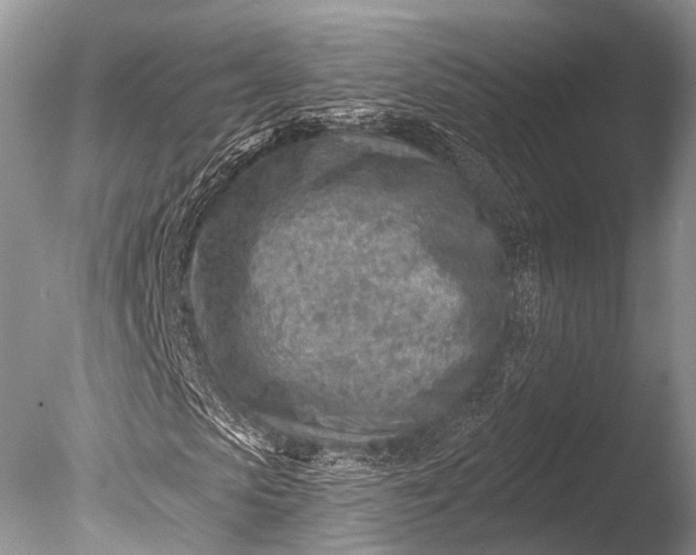 X0000085800913200703301454