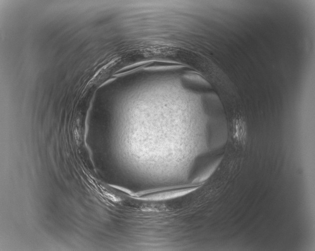 X0000085800915200703301454