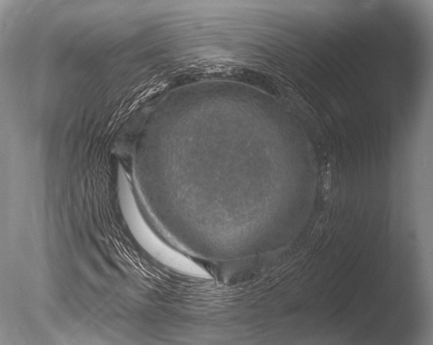 X0000085800916200703301454