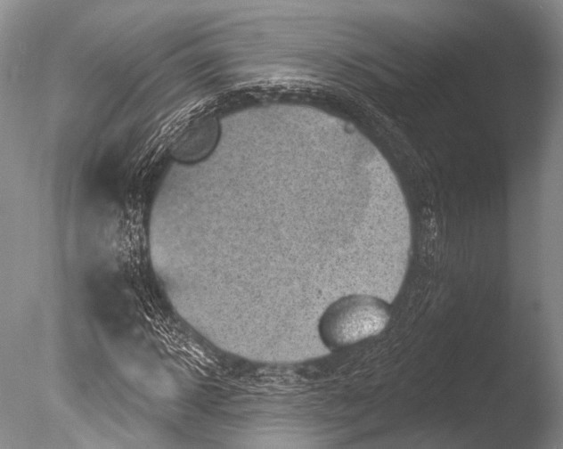 X0000085800918200703301454