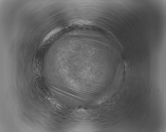 X0000085800919200703301454