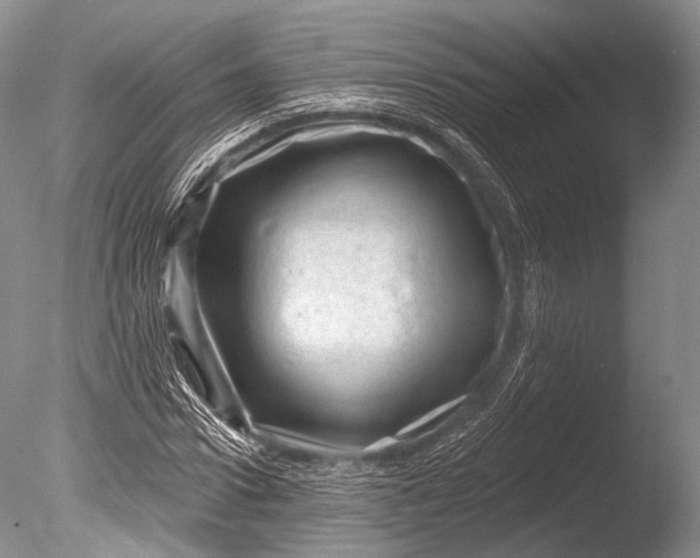 X0000085800922200703301454