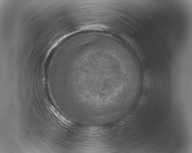 X0000085800923200703301454