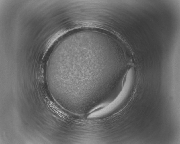 X0000085800926200703301454