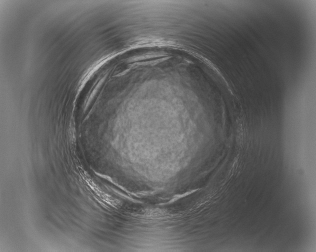 X0000085800927200703301454