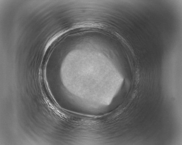 X0000085800928200703301454