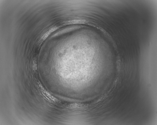 X0000085800929200703301454