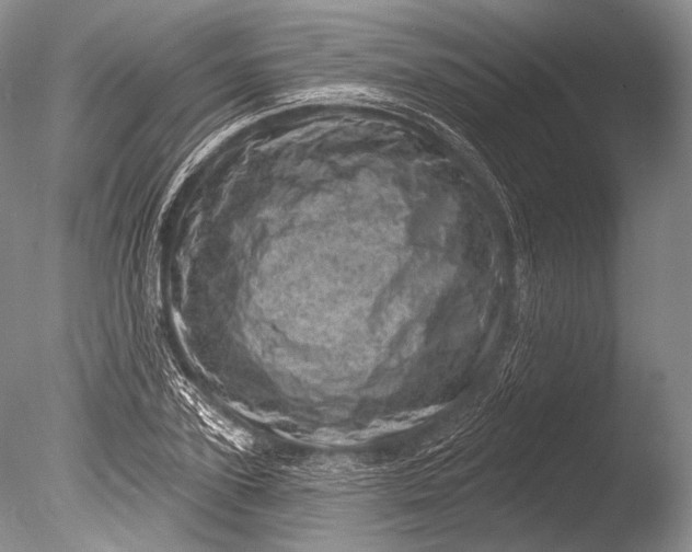 X0000085800931200703301454