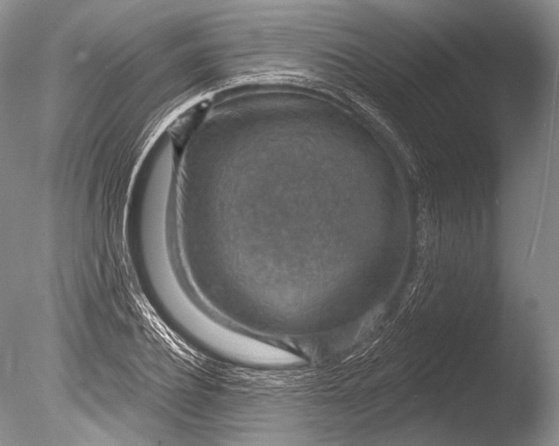 X0000085800932200703301454