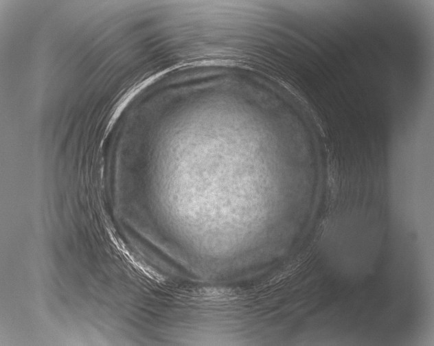 X0000085800933200703301454