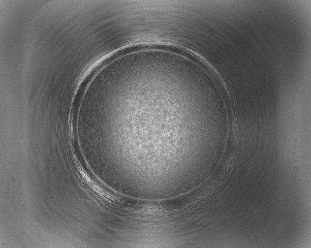 X0000085800935200703301454