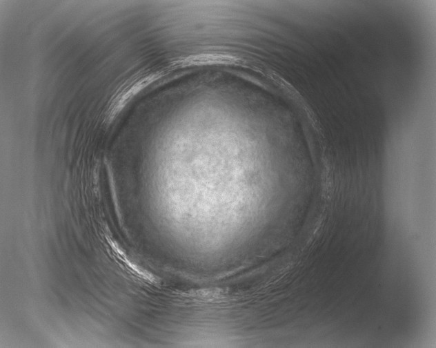 X0000085800937200703301454