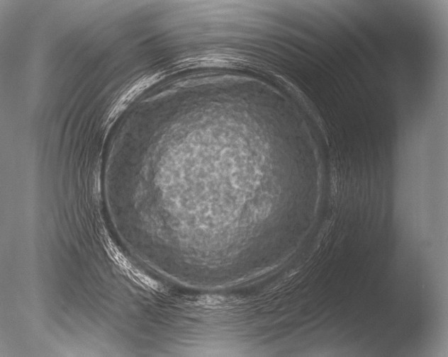 X0000085800938200703301454