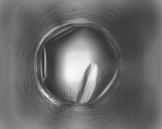 X0000085800939200703301454