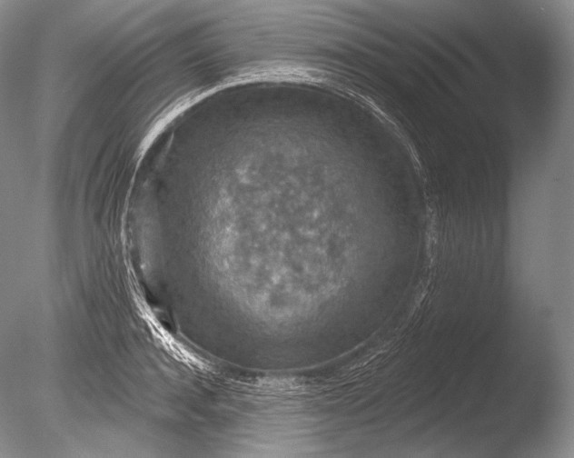 X0000085800944200703301454