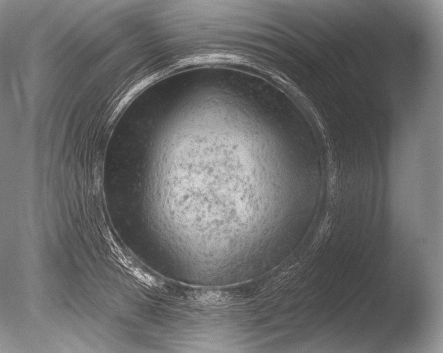 X0000085800945200703301454