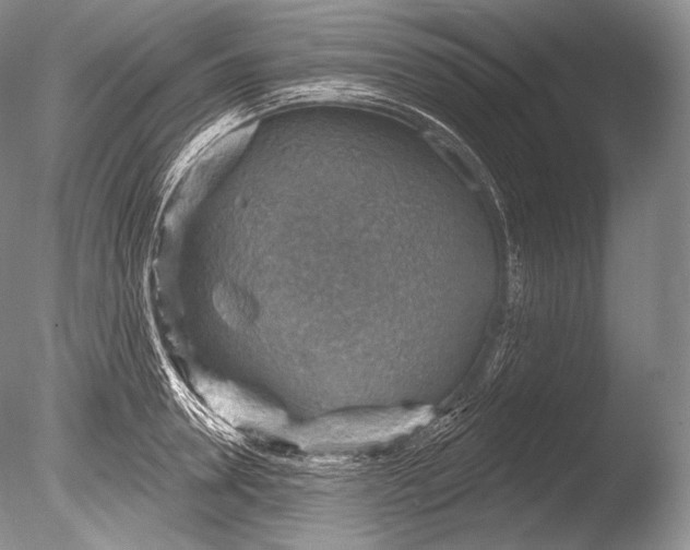 X0000085800946200703301454